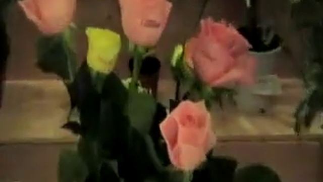 FLOWER.MOY.SU.flv смотреть онлайн