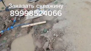 Абесинка с низкой статикой на берегу реки
