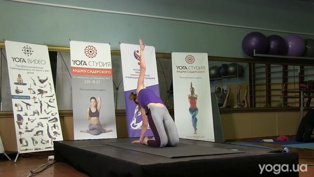 Yoga23. Комплекс для спины и шеи