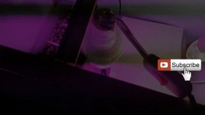 Фитолампы. Чем лучше подсвечивать кактусы. Уход за кактусом.