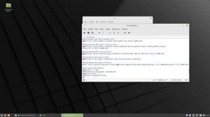 LinuxMint 20.3 После установочная настройка и установка ПО (скрипт)