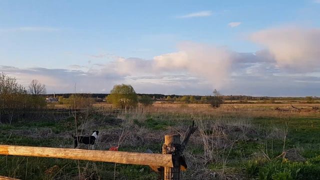 Облака , белогривые лошадки... смотреть онлайн