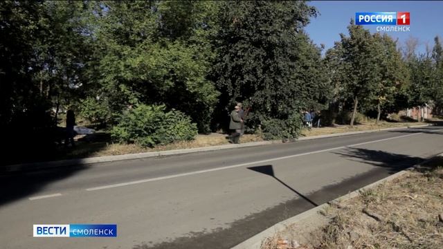 «Зеленстрой» приводит в порядок зеленые насаждения в Смоленске