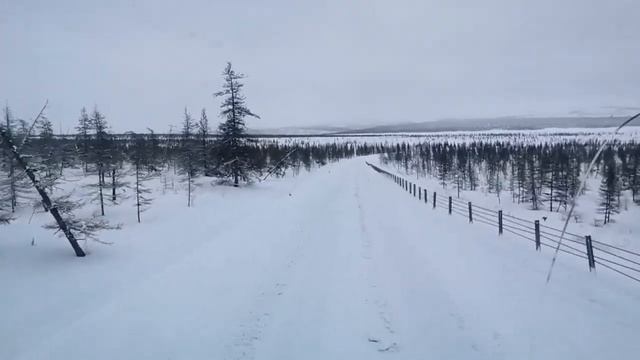 Участок дороги по лесотундре смотреть онлайн