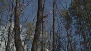 Фильм ужасов ПОСЛЕДНЯЯ ДУША,триллер.