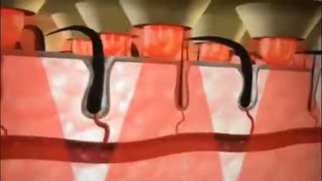 Лазерный шлем для волос анти алопеция генератор массаж головы предупреждающий потерю и стимулирующи смотреть онлайн