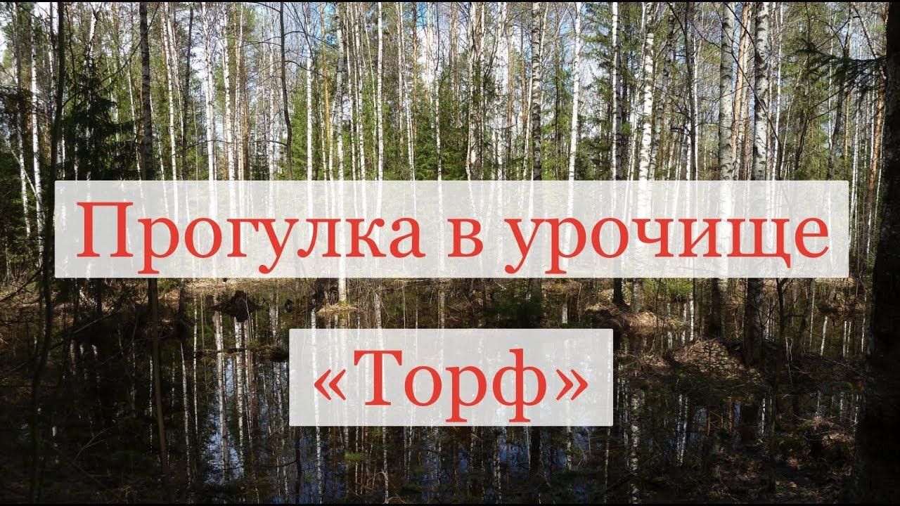 Прогулка в урочище Торф 24 апреля 2014