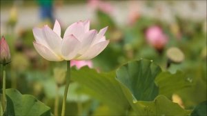 Реальность жизни.mp4