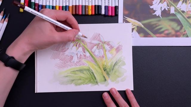 Подснежники акварельными карандашами: советы и секреты.