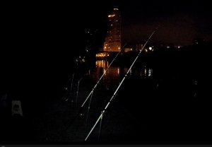 Запрет закончился. Ловим донками на Москва-реке. Рыбалка с ночевкой. Вспоминая  прошлый год.