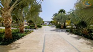 Waldorf Astoria Palm Jumeirah - A Review (With a Twist)