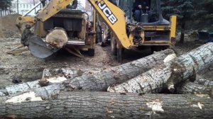 Лучшая дробилка дерева Вермеер 2000