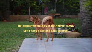 12 Английских пословиц, которые не имеют аналога в русском языке.
