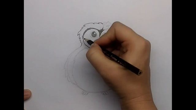 Как нарисовать сову