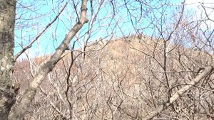 Путешествие в долине камней,потухшего вулкана Сенькина шапка 16 03 14г