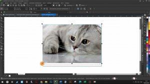 карманные календари