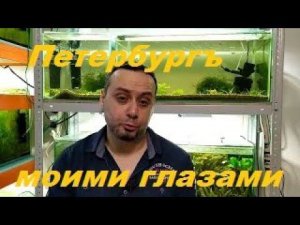 Петербургские заметки. (Архив от 2.07.2023)