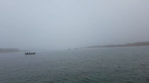 Рыбалка в низовье Дона