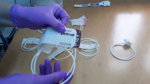 Измерение давления у кошки