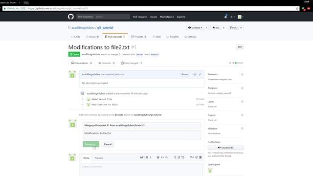 GitHub Pull Request