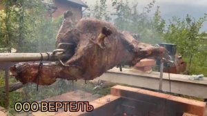 ООО ВЕРТЕЛЪ Ешь полезно и вкусно