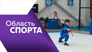 Область спорта №201