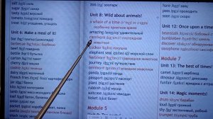 Spotlight 5 класс Английский в фокусе Модуль 5 Слова, словарь, животные стр. WL7WL8