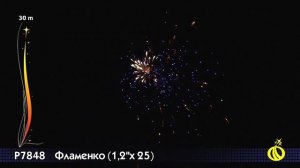 Р7848 Фламенко
