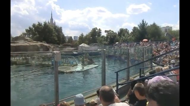 Шоу в Московском зоопарке! смотреть онлайн