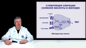 Почему антидепрессанты увеличивают вес?