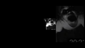 сборник смешных превью бегемот кот | ох зря я туда полез и другие