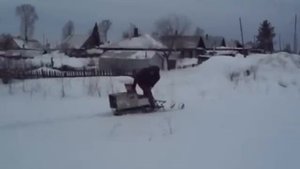 Палочник Фёдоровича