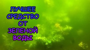 ЛУЧШЕЕ СРЕДСТВО ОТ ЗЕЛЕНОЙ ВОДЫ В АКВАРИУМЕ