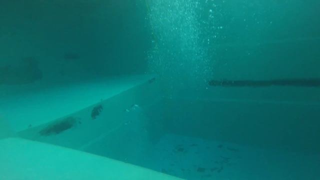 Having fun diving in Sukellus-Areena, Finland - Дайвинг в дайверском бассейне в Финляндии - by lol2