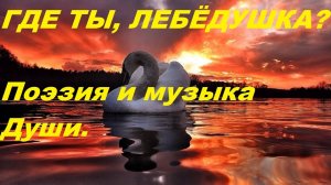 ГДЕ ТЫ, ЛЕБЁДУШКА? Автор стихотворения и видео А. Соколов. Музыка Yakuro Time of Sadness.