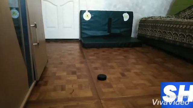 #хоккей #хоккейвсердце Челендж из НХЛ | финт ZORRO | Hockey at HOME 2