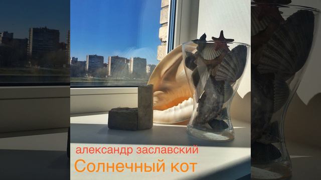 Солнечный кот