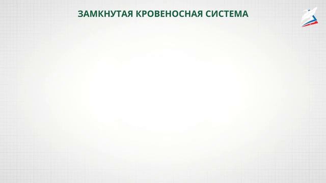 Передвижение веществ у животных смотреть онлайн