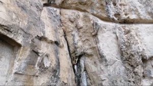 Воскресная прогулка по горам Сербии. 04.12.2022.