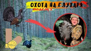 Охота на Глухаря на току! (Подслух)