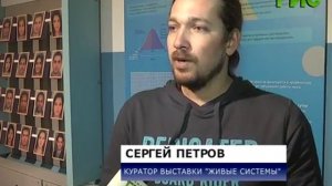 Как органы чувств нас обманывают?