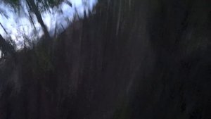 БОГОМ ЗАБЫТОЕ МЕСТО, ЗАБРОШЕННАЯ ДЕРЕВНЯ - ПРИЗРАК