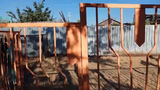 Елисей в Астраханском зоопарке смотреть онлайн