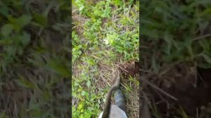 700 кг рядом с вагоноремонтным дэпо, цена 13 руб. кг. чермет, цены падают