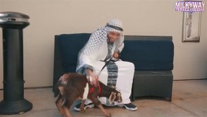 ОЧКИ РАСИСТА РУССКАЯ ОЗВУЧКА RUDY MANCUSO