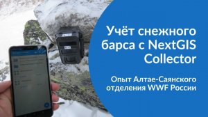 NextGIS Collector для учёта снежного барса