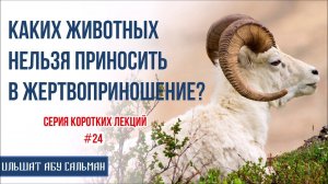 Ильшат Абу Сальман. Каких животных нельзя приносить в жертвоприношение? Серия лекций Курбан-Байрам