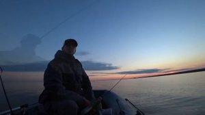 Супер рыбалка на СУДАКА! Финский Залив. Бронка