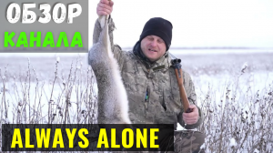 Обзор Канала и Доход с Ютуба Always Alone "Всегда в одиночку"
