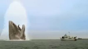 2010: MOBY DICK Trailer